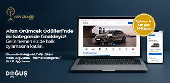 altin-orumcek-boyut3