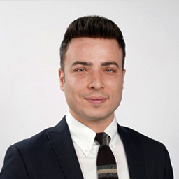 Doğuş Oto Satış Yetkilisi 