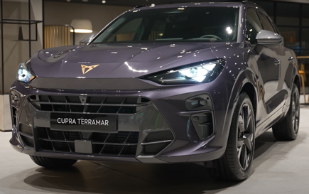 cupra-terremar-duzenlenmis
